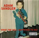 What the Hell Happened to Me? - Adam Sandler