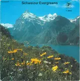Schweizer Evergreens - Akkordeonduett Heidi Wild - Renato Bui