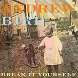 Break It Yourself - Andrew Bird