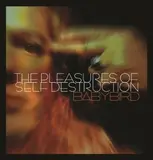The Pleasures of Self Destruction - Babybird