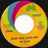 Diggin' What You're Doin' / Mellow - Big Black
