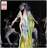 Vulnicura Strings - Björk