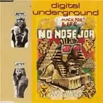 No Nose Job - Digital Underground