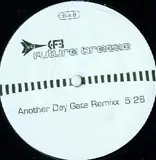 Another Day (Gate Remix) - Future Breeze