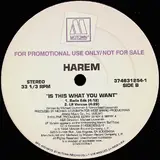 Is This What You Want - Harem