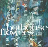 Movies - Hothouse Flowers