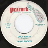 Cool Turkey / Gonzo - James Booker