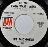 Do You Know What I Mean - Lee Michaels