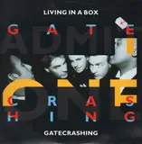 Gatecrashing (Diesel Mix) - Living In A Box