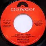 Positive Thing - Mandrill