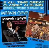 I Heard It Through The Grapevine - Marvin Gaye