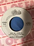 What Am I Gonna Do (With The Rest Of My Life) - Merle Haggard