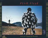 Delicate Sound of Thunder - Pink Floyd