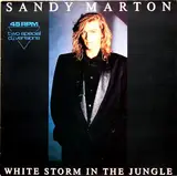 White Storm In The Jungle - Sandy Marton