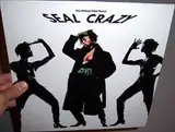 Crazy (The William Orbit Remix) - Seal
