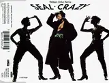 Crazy (William Orbit Remix) - Seal