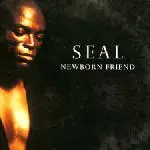 Newborn Friend - Seal