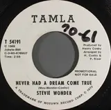Never Had A Dream Come True - Stevie Wonder