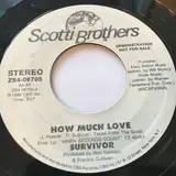 How much love - Survivor