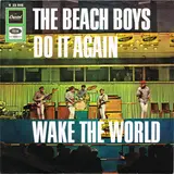 Do It Again - The Beach Boys