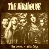 The Devil / Big City - The Birdhouse