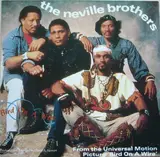 Bird On A Wire - The Neville Brothers