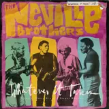 Whatever It Takes - The Neville Brothers