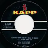 What Have They Done To The Rain - The Searchers