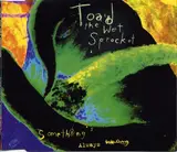 Something's Always Wrong - Toad The Wet Sprocket