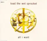 All I Want - Toad The Wet Sprocket