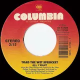 Walk On The Ocean - Toad The Wet Sprocket