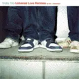 Universal Love (Remixes) - Trüby Trio