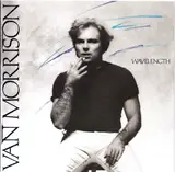 Wavelength - Van Morrison