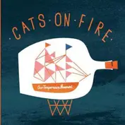 cats on fire