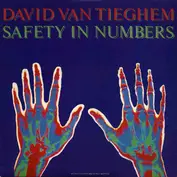 David Van Tieghem