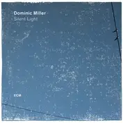 Dominic Miller
