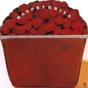 The Raspberries