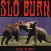 Slo Burn