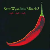 Steve Wynn & the Miracle 3