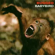 CD - Babybird - Bugged