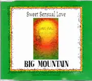 CD Single - Big Mountain - Sweet Sensual Love