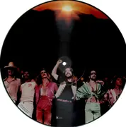 Picture LP - Bob Seger & The Silver Bullet Band - Stranger In Town - PICTURE DISC