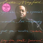 LP - Curtis Mayfield - Never Say You Can't Survive