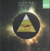 Double LP - Gov't Mule - Dark Side Of The Mule - Glow in the dark 140 vinyl.