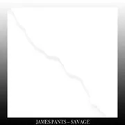 LP - James Pants - Savage