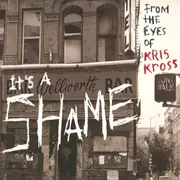 12inch Vinyl Single - Kris Kross - It's A Shame