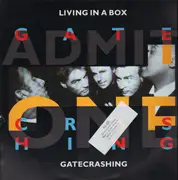 12inch Vinyl Single - Living In A Box - Gatecrashing / Blow The House Down (Remix)