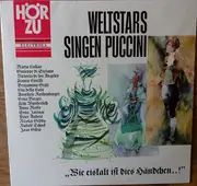 LP - Maria Callas , Giuseppe di Stefano , Victoria De Los Angeles , Franco Corelli , Beniamino Gigli , L - Weltstars Singen Puccini
