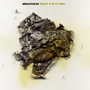 12inch Vinyl Single - Medaphoar - What U In It For?