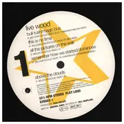 Double LP - Paul Weller - Live Wood